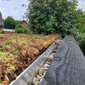 Close-up van een sedumdak, kleurt ook mooi op een all black schuur van MYWOOD