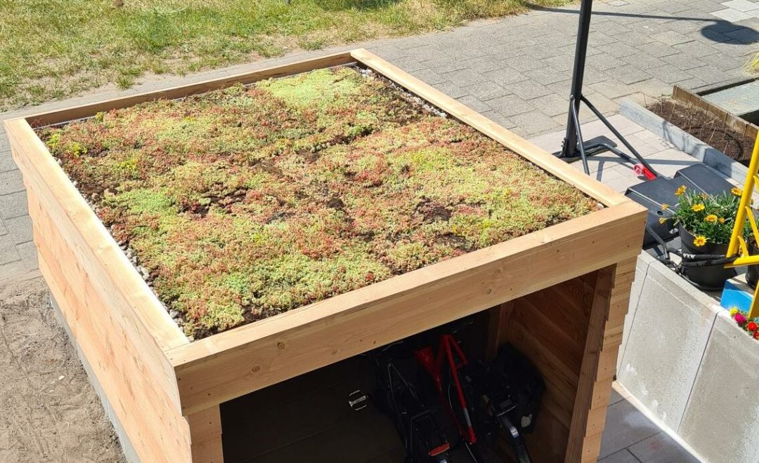 Fietsenberging met sedum Rijswijk