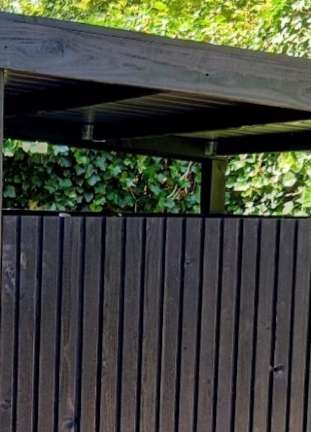 MYWOOD Fietsenschuur model Rome, kleur all black met sierlijke Rhombus bekleding.