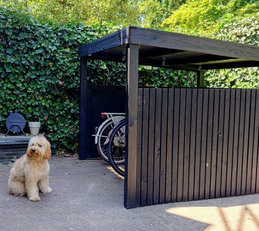 Model Rome met verticaal geplaatst Rhombus. Goed voor fiets én hond.
